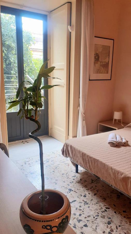 Bed And Books Isabella Bed & Breakfast คาตาเนีย ภายนอก รูปภาพ